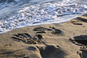 Jacky DUVERGER - Mégapix'Air